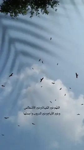 #اللهم_خير_الحياة_وخير_الأشخاص_وخير_الايام_وخير_الدروب_واجملها 