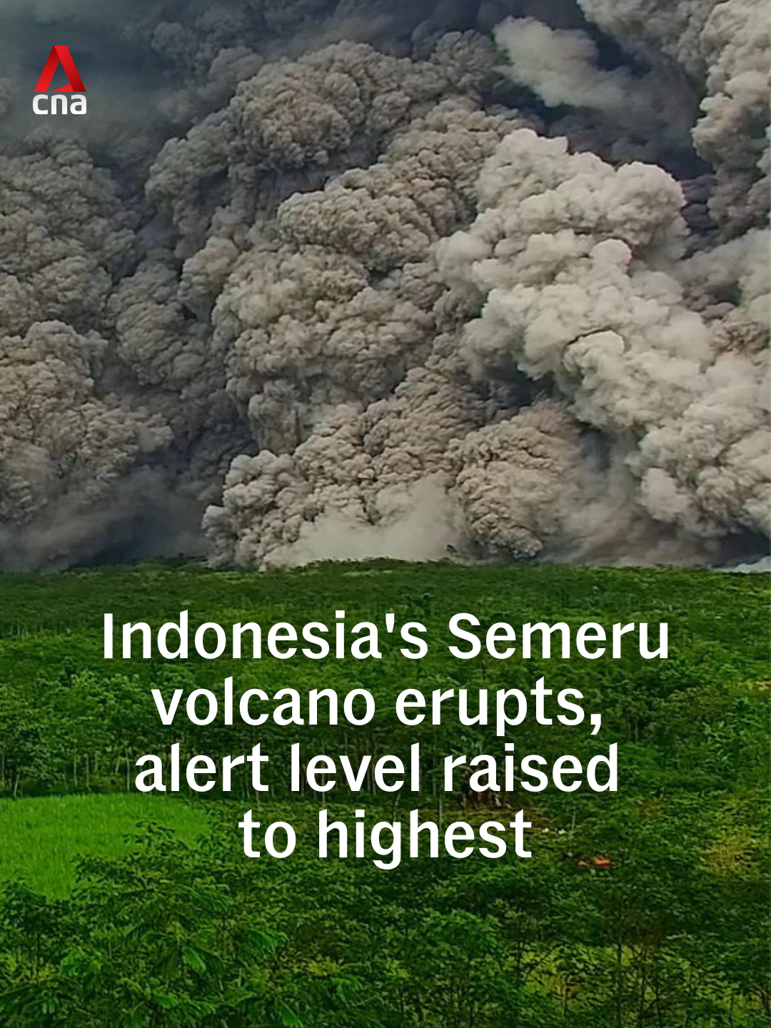 Indonesia has raised the alert level for Mount Semeru in East Java to its highest status after the volcano erupted on Wednesday (Nov 19) afternoon, sending ash and gas up to 2km into the sky. Authorities warned residents to stay at least 8km away from the crater. Semeru’s last major eruption in 2021 killed over 50 people and displaced thousands. #indonesia #indonesianews #semeru #volcano