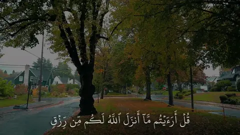 ﴿قُل أَرَأَيتُم ما أَنزَلَ اللَّهُ لَكُم مِن رِزقٍ فَجَعَلتُم مِنهُ حَرامًا وَحَلالًا﴾ [يونس: ٥٩]#ياسر_الدوسري #سورة_يونس #اكتب_شي_توجر_عليه 