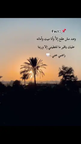 #جبل_الحلال #ابوهيبه #ابوهيبه_جبل_الحلال  #البداري #viral  @تراث الصعيد @آبو سلطآن 🔝🎖..