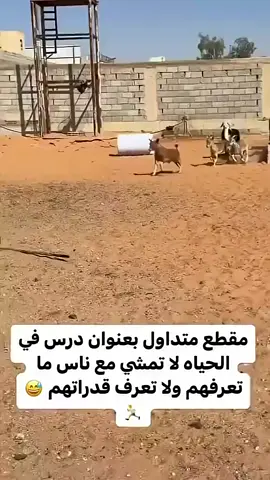 # مقطع #متداول #بعنوان درس في# الحياه لا تمشي #مع ناس ما تعرفهم #ولا تعرف #خبرتنا_كفيلة_أن_تصنع_الفرق_في_قدراتهم 😁😁