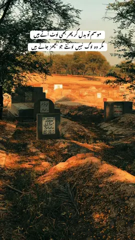 Miss You abbu g 💔 #grave #islamic_insights #😓 #foryoupage 