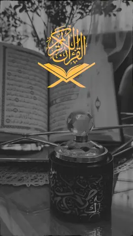 جتنا آسانی سے ہو سکے اتنا قرآن پڑھ لیا کرو 💐 Surah Al-Muzzammil ❤️🌸 #qurantranslation #quranrecitation #quran_alkarim #islamic_video #foryoupage 