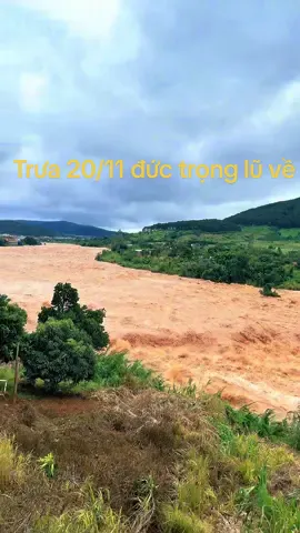 Trưa 20/11 bất ổn đức trọng thất thủ