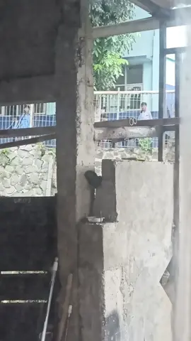 ⚠️BUKTI JELAS RUMAH GUA DILEMPARI BATU OLEH BEBERAPA SISWA SDN KEDUNG WARINGIN 01, BOJONGGEDE BOGOR, JAWA BARAT.  Tanggal 20 November 2025, pukul 11.21 ❗disclaimer kalo bukan mereka yang selalu ngelempar batu ke rumah gua, karena kejadian kaya gini bahkan terjadi sebelum covid. Gua berharap dengan adanya video ini, dari pihak sekolah maupun orang tua bisa lebih memperingatkan siswa/siswi dan anak-anak mereka untuk tidak melakukan hal yang merugikan dan tidak patut untuk dimaklumi hanya karena mereka 