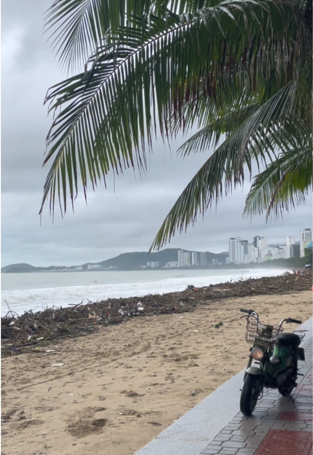 Bãi biển Trần Phú Nha Trang những ngày mưa lũ🌧️ #nhatrang #reviewdulich #dulichnhatrang #xuhuong 