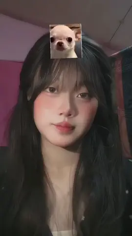 ဟဲဟဲ😆#ညို #myanmartiktok🇲🇲🇲🇲 #အမြဲတမ်းပဲတွေ့နေချင်တယ်အချစ်ရေ😘 