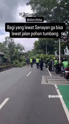 Sekitar jam 10:25 wib pohon tumbang di Jalan Sisingamangaraja sebelum bundaran /Patung Pemuda Membangun Senayan, Jakarta Kamis (20/11/2025). . . . 📹 : @ferialkoto source kabar ciledug