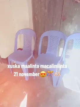 congratualation dhamman macalimiinta sharafta bdn😩🫶🏻🎊#fyp #foryou #foryoupage #somalitiktok 