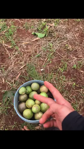 ik lm cũng vui mà ah em 😁😊#xhhhhhhhhhhhh 