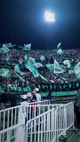 QUE LA VUELTA ESTE AÑO DAMOS 🗣️🇳🇬  #atleticonacional #losdelsur  #nacionaldalecampeon 