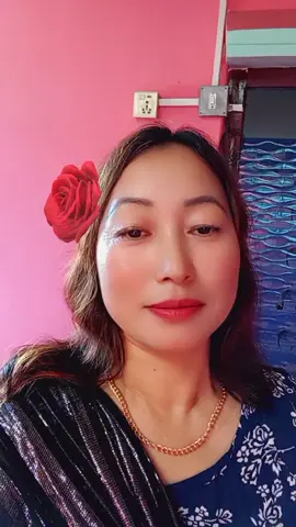 #creatorsearchinsights 