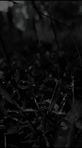 setidaknya aku sudah berusaha😇 #mekanik #fyp #mekanikmuda #fypシ゚ #mekanikindonesia 