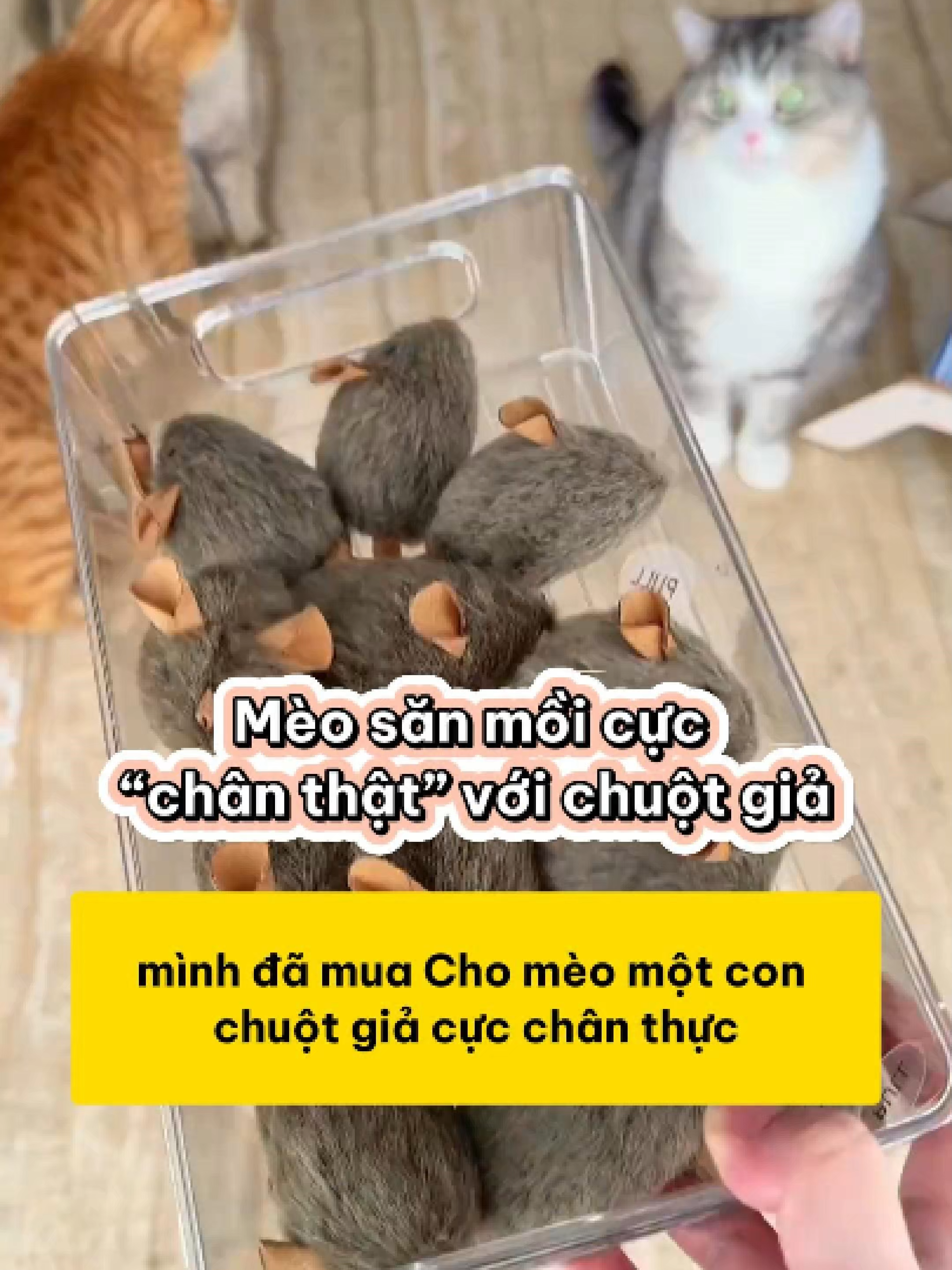 Mèo săn mồi cực “chân thật” với chuột giả siêu bền #shopthucung