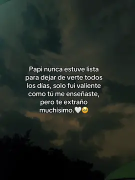 🥹🥹#papá #papi #teextrañomucho #teamopapá #valiente 