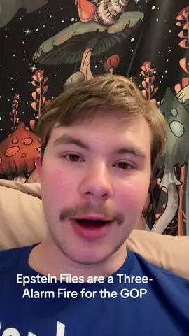 The Epstein files being released has caused pandemonium in the Trump world, and the GOP is reeling. House Speaker Mike Johnson is clearly unprepared and Trump is becoming increasingly erratic and aggressive with reporters. Even Pam Bondi looks frazzled. This is a three-alarm fire for MAGA and the GOP. #epstein #democrats #leftist #fyp 