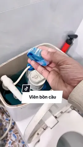 Viên thả bồn cầu đa năng. #vienthaboncau #thaboncau 