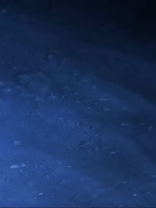 [SolarisSeasideStory] With the Tide, I  Remember You - Wuthering Waves #wutheringwaves #solarisseasidestory #shorekeeper #rover #musica #fyp #mv