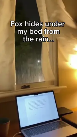 This song is so good! #wholesome #animals 