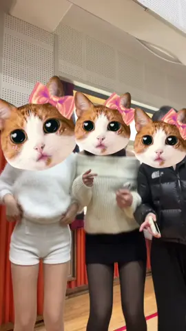 @먀하 @강서구개바보 데려갈 오빠들~❤️ #fyp #ㅊㅊ 