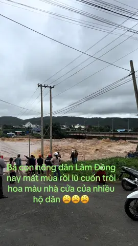 Lũ lụt kinh khủng quá mọi người ơi 😩😩😩#lâmđồng #đàlạt #thiênnhiên #lũlụt 