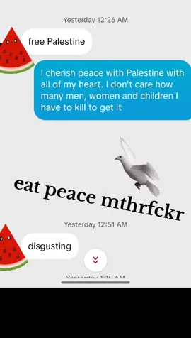 #פלסטיןחינם #פיסמייקר #peacemaker #peace #פוריו