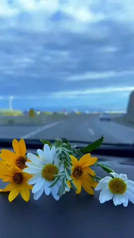 صباحكم سعادة تغمر قلوبكم وتنير دروبكم بالخير  صباح الخير والسعاده 🌹🌿#صباح_الخيِر #صباح_الورد #صلوا_عليه_وسلموا_تسليما #اللهم_صل_على_نبينا_محمد #اللهم_صل_وسلم_على_نبينا_محمدﷺ 