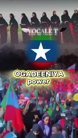 @Queen  YocaLe🇬🇲❤️🫶 @queen of yoocale 👑🇬🇲 @DEEGAAN ACADEMY🇬🇶 @BK🦋🌴🇸🇴 @Boqor2Maduushaa @maduusha?77 @kalgacal🩵 @jamila.adan @Geenyada.shabelay @C͜͡/R͜͡A͜͡X͜͡M͜͡A͜͡A͜͡N͜͡🤴🏽 