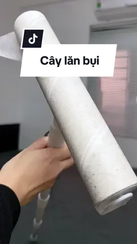 Nếu ko có cây lăn bụi này thì mình ko biết là mình nằm trên cả đống bụi thế này đâu, bảo sao ngủ k sâu giấc mà ngủ dậy hay bị ngứa #choechamnha #viral #caylanbui #caylanbuicandai 