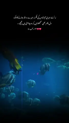 نہ اُسے میری تنہائیوں کی فکر نہ میرے روٹھ جانے کا دُکھ دل پھر بھی سمجھتا ہیں کہ وہ چاہتا ہیں مجھے ۔ #1millionaudition #aesthetic #foryou #foryoupagе #tranding 