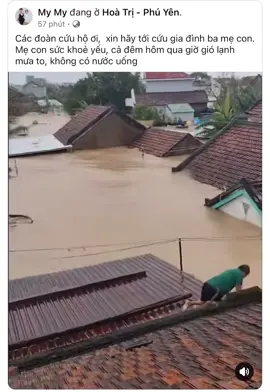 Lời kêu cứu mọi nơi luôn ạ 😭 nhìn mà xót quê quá 🙏 Cứu Phú Yên với ạ 😭😭😭#lũlụt #lũ2025 