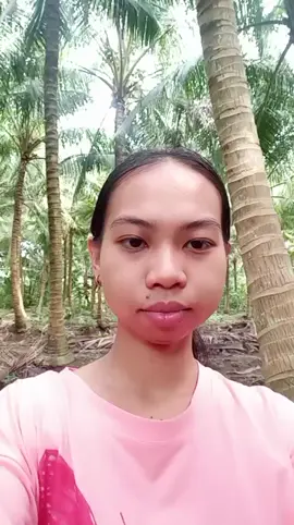 THƯ ƠI THƯ CHỊ TẶNG THƯ NHEN #canhdepthonque #camnhicover @Cẩm Nhi COVER🎤 