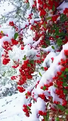 #длядуши #мудрыеслова 