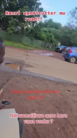 #zimtiktokers🇿🇼🇿🇼🇿🇼 #zimcelebs #pakabhaizika #fyp #trend 