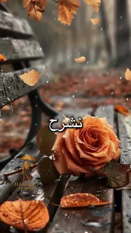 ألم نشرح لك صدرك …!🤍🕊️ #همسات_الضحى #أدعية_اذكار_تسبيح_دعاء_استغفار♡ #إعادة_النشر🔄 #fyp #explorer 