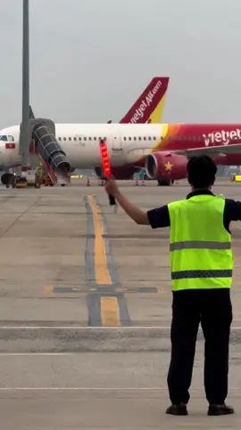 Airbus A359 vào vạch🛬#marshaller #lomaybay #airbus #a350 #aviation 