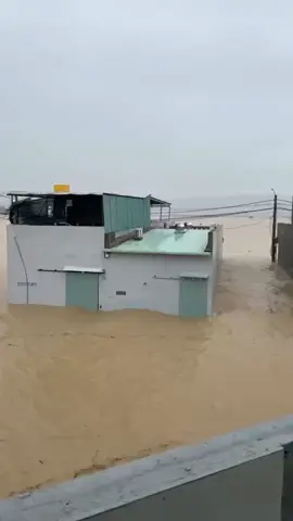 Phú Yên quê em tình hình gấp rút quá rồi ạ.. mưa to, đập liên tục xã lũ, mực nước biển ngày càng tăng😢 người giờ mắc kẹt trong nhà ko làm sao ra được, nhà nội e có 6 người ( 3 người lớn, 1 người già, 2 đứa con nít, bà e lớn tuổi rồi, cháu e còn nhỏ lắm ạ).. nhờ cđm mạng chia sẻ giúp e để lực lượng chức năng có thể pik đến và cứu kịp thời (vì gđ em và con cháu ở xa chưa thể gọi được cho ai).. ko chỉ gia đình em mà còn xung quanh bà con hàng xóm em nữa ạ… khu vực này ko có mấy nhà có lầu có gác nên giờ người thì ôm con ngồi nóc nhà, ng thì bu trụ điện.. em pik tình hình bây giờ ko chỉ riêng khu vực nhà nội e mà còn rất nhìu khu vực khác cần đc cứu… nhưng mong all mọi người giúp đỡ, chia sẻ để sớm đến được khu vực này.. #PhụngTường2_HoàTrị_PhúHòa_Phú_Yên (cũ) nay thuộc tỉnh Đăk Lăk 😢☘️#xh #viral #bãolụtmiềntrung 