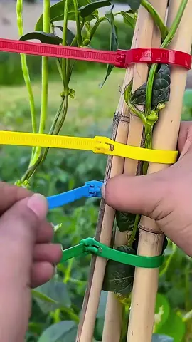 Dây rút nhựa buộc có nãy khoá tái sử dụng nhiều lần #dayrutnhua #dayrutnhuasieuben #dayrutnhuadusize 