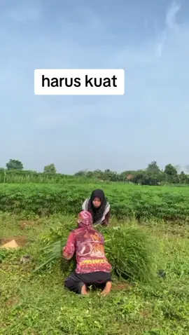 #vidiokomedi#vral #fyp 