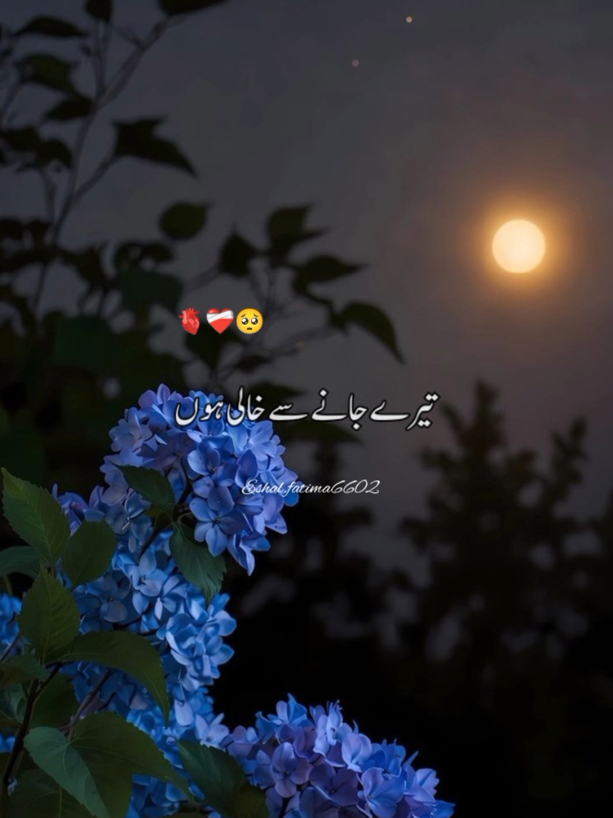 dil ki awaz tu🥰❤️‍🩹🤩 #song #foryoupage🙋 