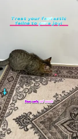 My cat lost it for this rolling toy — curious to try #CatToys #viral #TikTokMadeMeBuyIt 