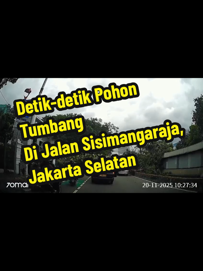 Kamis pagi, 20 November 2025, dilaporkan pohon tumbang menimpa mobil di Jalan Sisimangaraja, sebelum Patung Pemuda Membangun, arah Bundaran Senayan, Jakarta Selatan. Mohon berhati-hati. #bundaransenayan #jakartaselatan  ----- Ikuti akun kami untuk update informasi terkini Jakarta dan sekitarnya -----