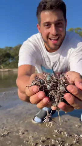 Easy snack #wildeating #catchandcook #beachvibes #survival 