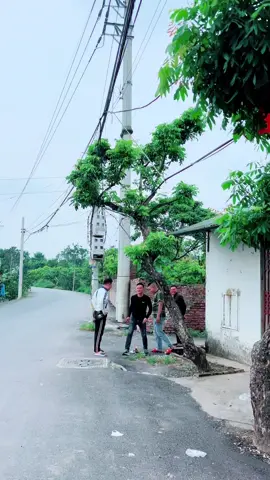 Hôm nay em mệt rã rời, cho e con số đổi đời dc ko 🥴