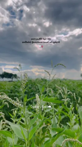 🫀🤍#creatorsearchinsights #DeepVibes #100k #1millionaudition #viral #tiktok #