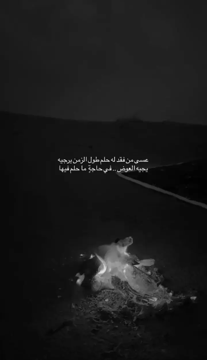 #اكسبلورexplore #اكسبلورexplore 