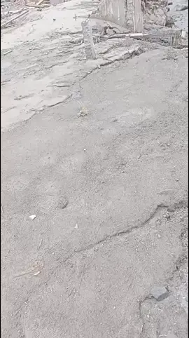 kamar A supiturang.. dampak erupsi #padahariini #pronojiwolumjang #fytシ 