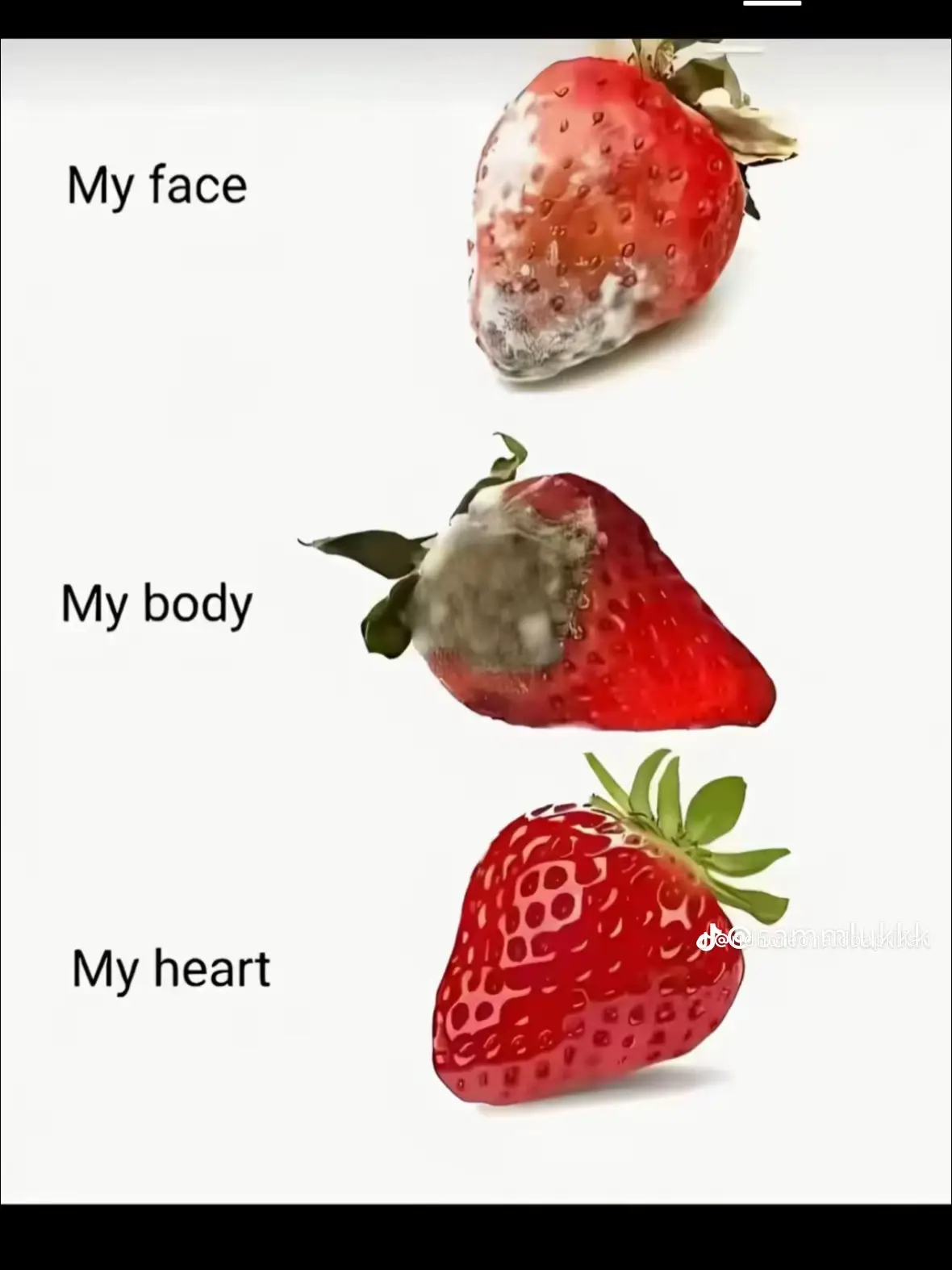 cocok🫡#fypdong #fyp #fyppppppppppppppppppppppp #Love @rnftrylnti🌼 