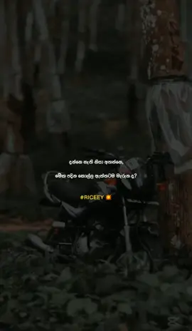 හරියටම දැනගන්න ඕන නිසා ඇහුවේ..😔💝 #trending#viral#fypppppppppppppppppppppppy#cmb