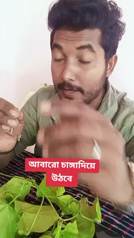 আবারো চাঙ্গাদিয়ে  উঠবে 🥰❤️😯 #viraltiktok #keşfet #tiktikinditack #keşfetteyizzzzzzz #keşfetteyizzz 